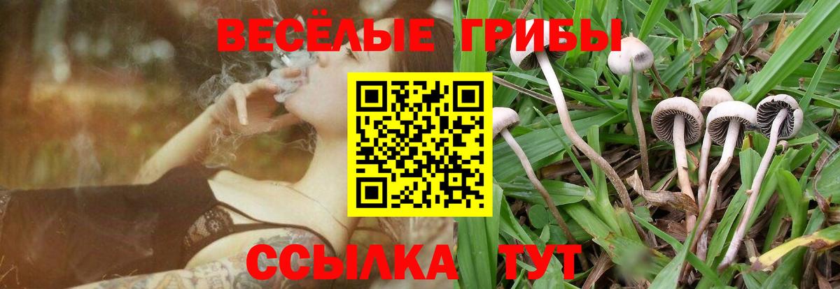 Галлюциногенные грибы прущие грибы Чехов