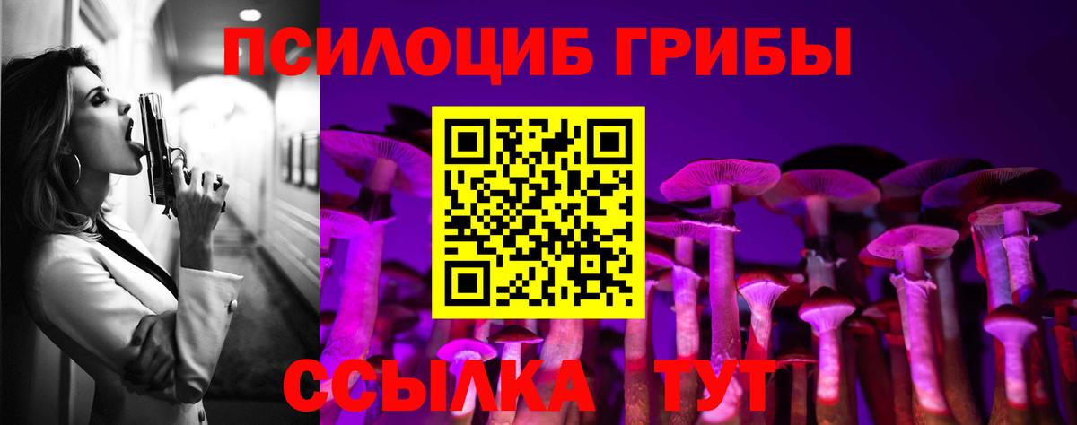Псилоцибиновые грибы Psilocybine cubensis  Вход с VPN  Чехов 